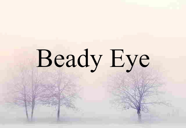 Beady Eye (noun) Definition, Meaning & Examples