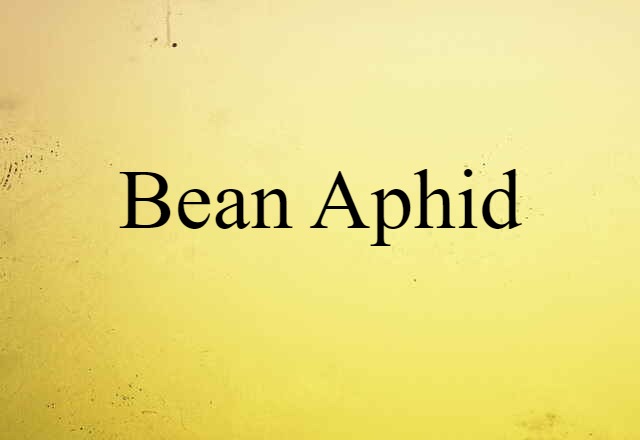 Bean Aphid (noun) Definition, Meaning & Examples