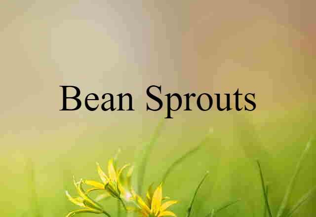 Bean Sprouts (noun) Definition, Meaning & Examples