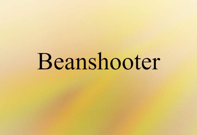 Beanshooter (noun) Definition, Meaning & Examples