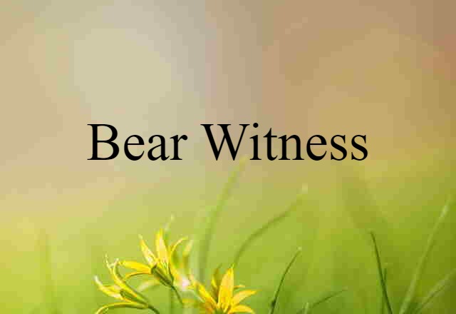 Bear Witness (noun) Definition, Meaning & Examples