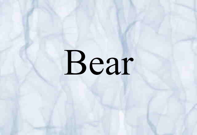 bear