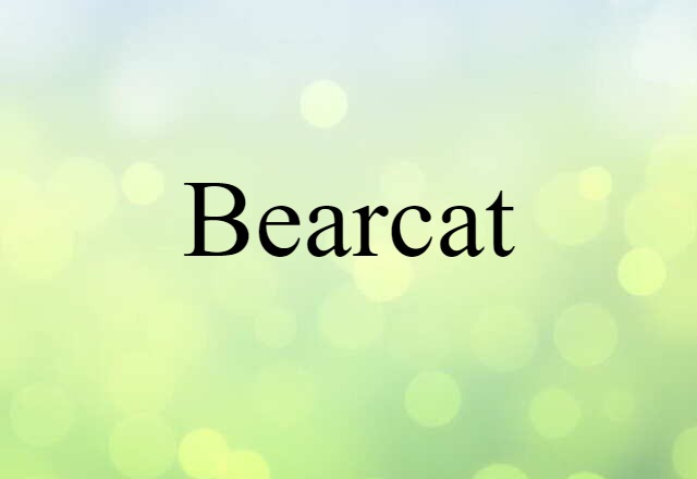 Bearcat (noun) Definition, Meaning & Examples