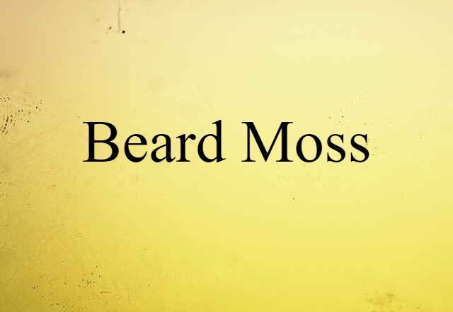 beard moss