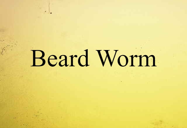 Beard Worm (noun) Definition, Meaning & Examples