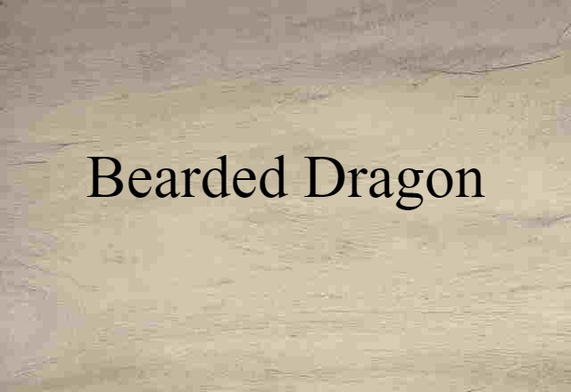 Bearded Dragon (noun) Definition, Meaning & Examples