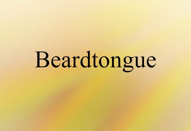 Beardtongue (noun) Definition, Meaning & Examples