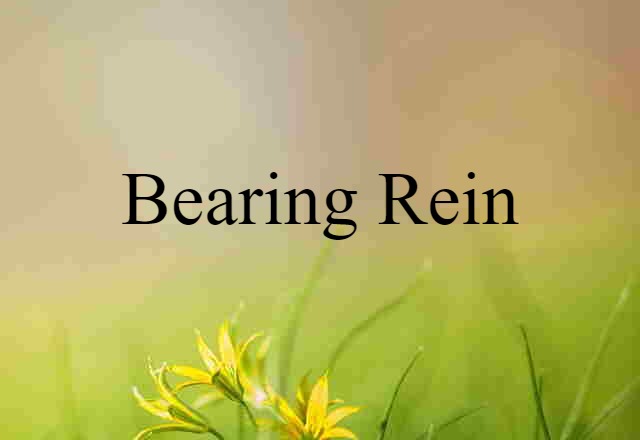 Bearing Rein (noun) Definition, Meaning & Examples