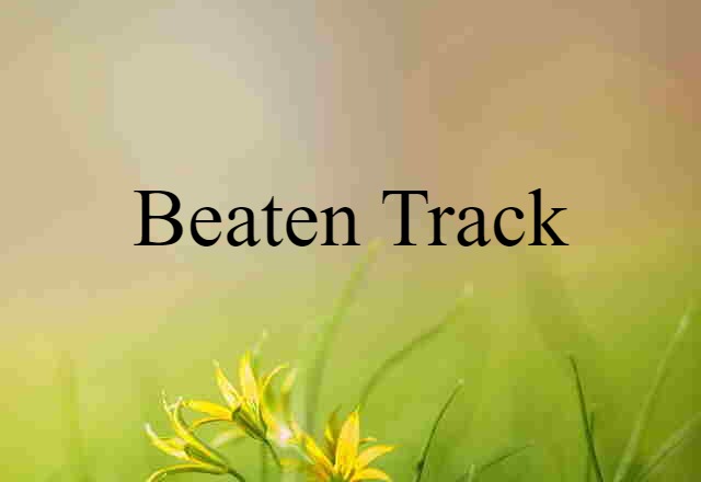 Beaten Track (noun) Definition, Meaning & Examples