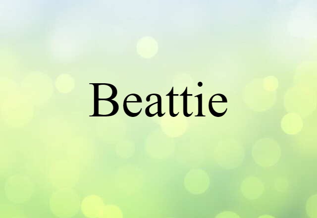 Beattie (noun) Definition, Meaning & Examples