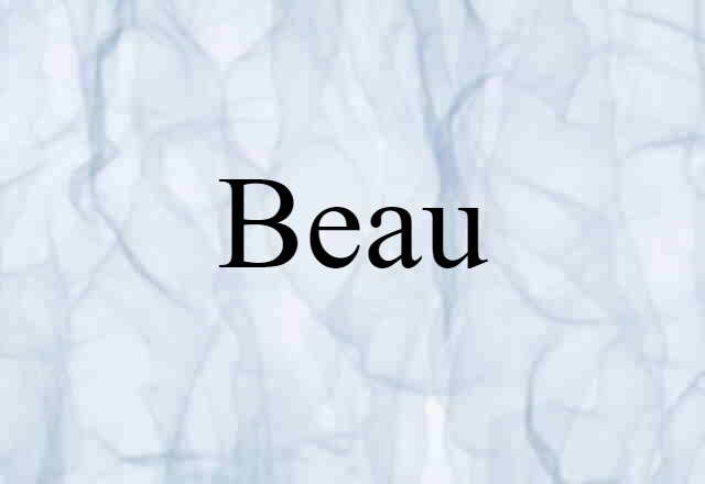 Beau (noun) Definition, Meaning & Examples