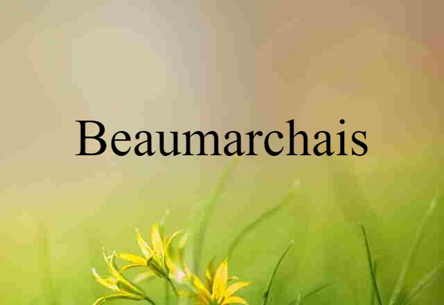 Beaumarchais (noun) Definition, Meaning & Examples