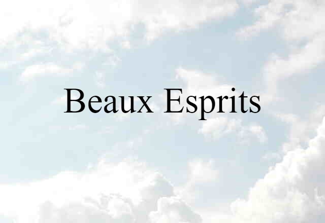 Beaux Esprits (noun) Definition, Meaning & Examples