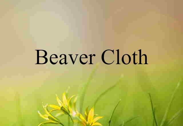 beaver cloth