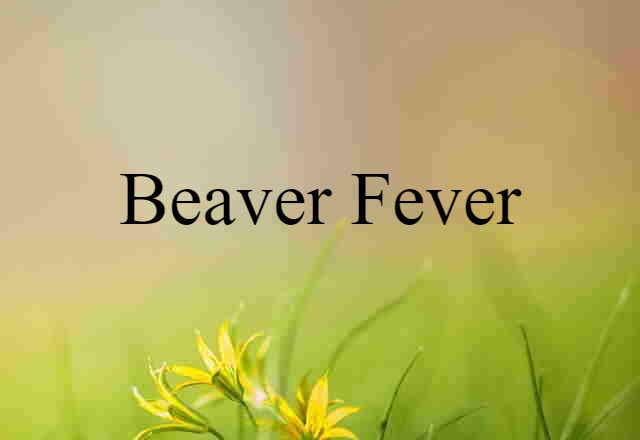 Beaver Fever (noun) Definition, Meaning & Examples