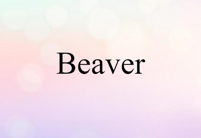 beaver