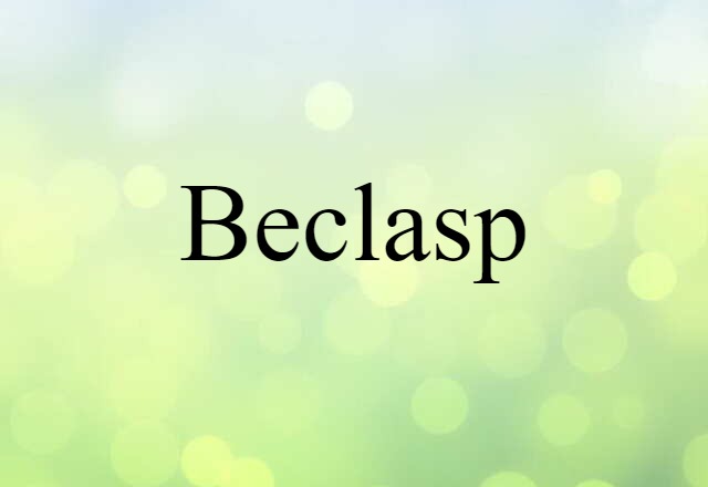 Beclasp (noun) Definition, Meaning & Examples