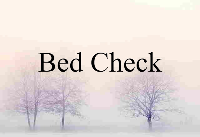 Bed Check (noun) Definition, Meaning & Examples