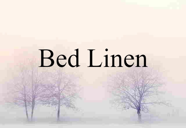 Bed Linen (noun) Definition, Meaning & Examples