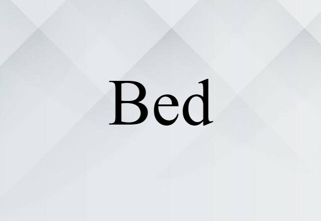 Bed (noun) Definition, Meaning & Examples