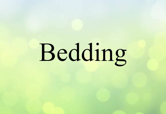 Bedding (noun) Definition, Meaning & Examples