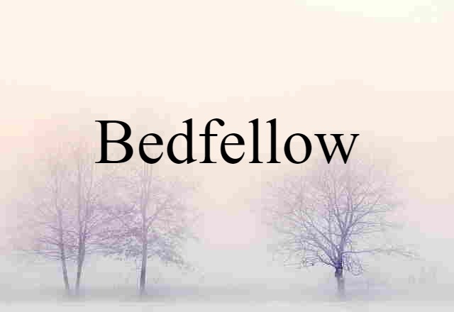 bedfellow