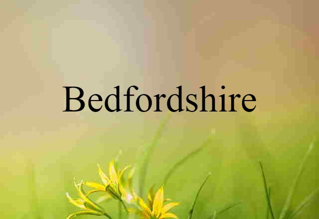 Bedfordshire