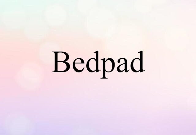 Bedpad (noun) Definition, Meaning & Examples