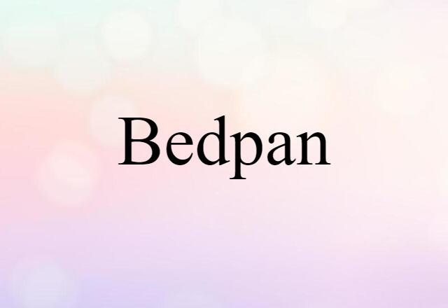 Bedpan (noun) Definition, Meaning & Examples