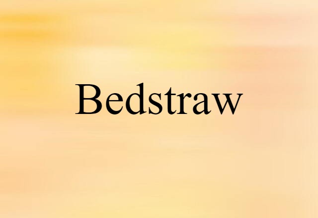 bedstraw