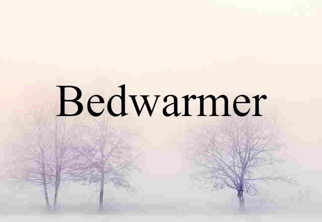 Bedwarmer (noun) Definition, Meaning & Examples