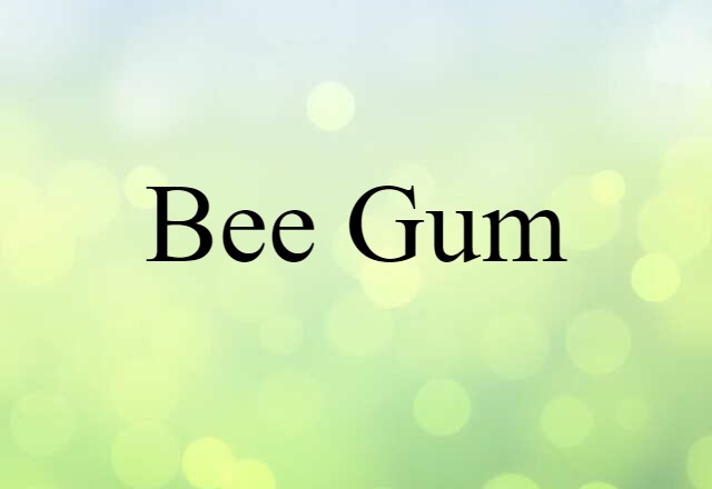 Bee Gum (noun) Definition, Meaning & Examples