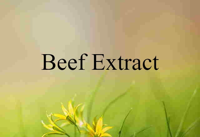 beef extract