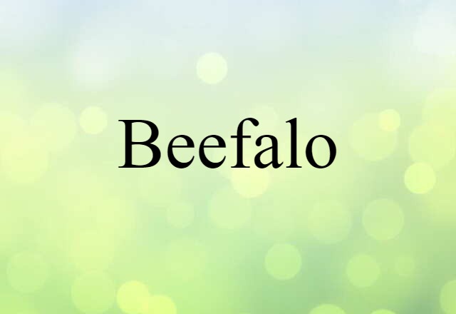 Beefalo (noun) Definition, Meaning & Examples