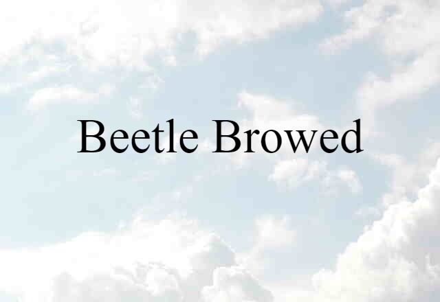 beetle-browed