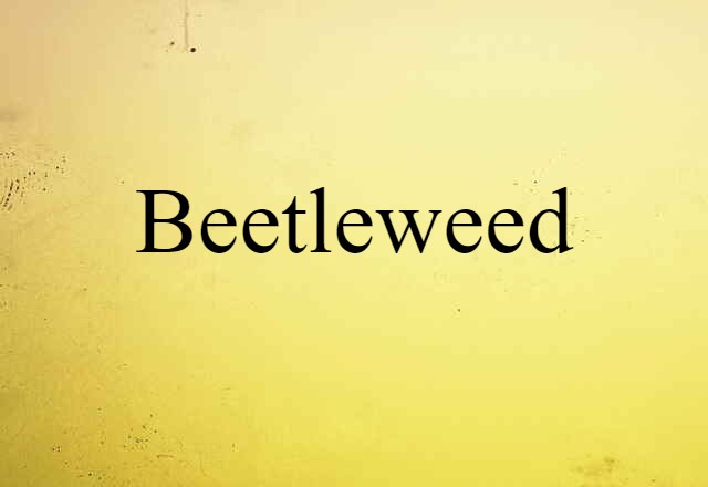 beetleweed