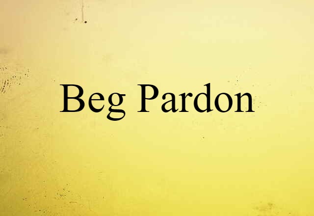 beg pardon