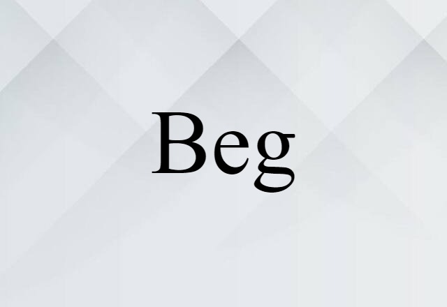 Beg (noun) Definition, Meaning & Examples