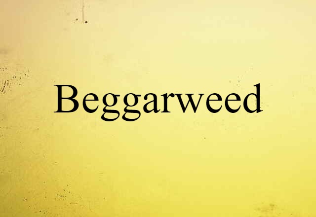 beggarweed