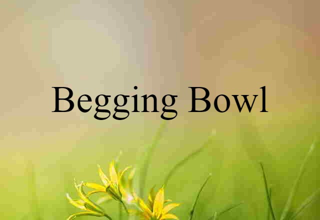 Begging Bowl (noun) Definition, Meaning & Examples