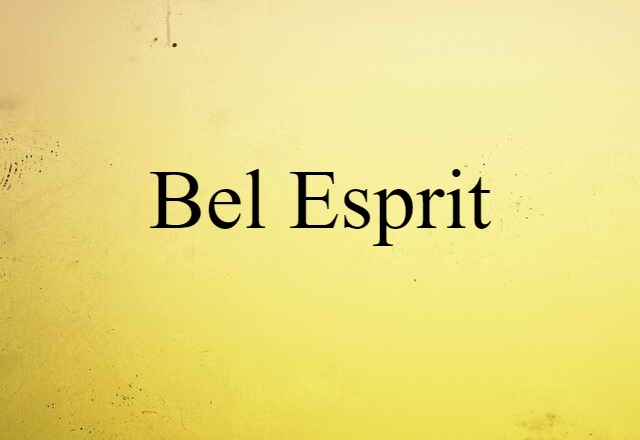 Bel Esprit (noun) Definition, Meaning & Examples