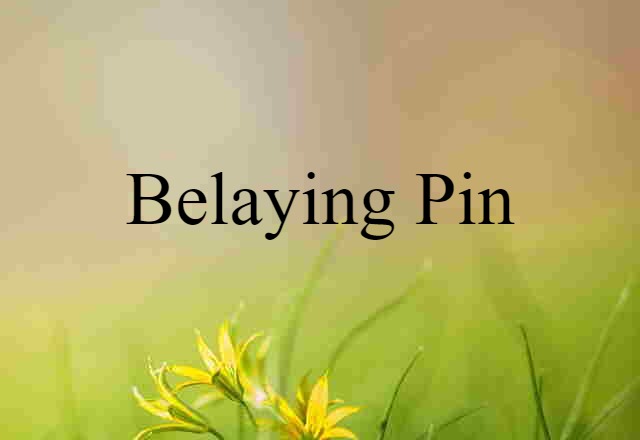 belaying pin