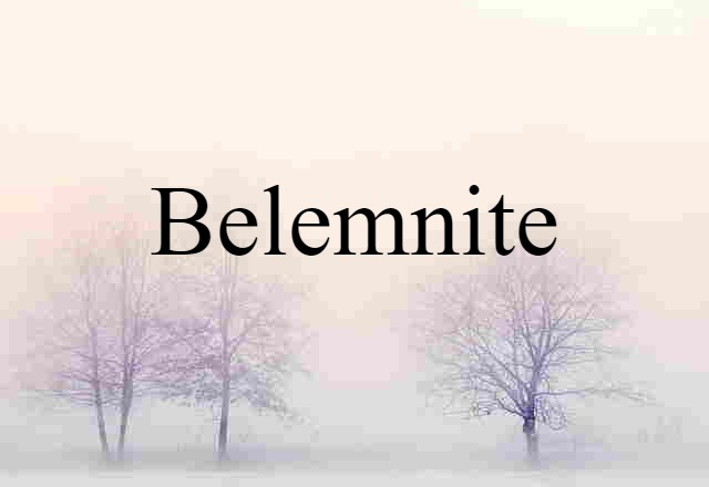 Belemnite (noun) Definition, Meaning & Examples