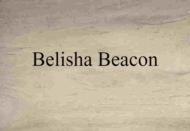 Belisha beacon