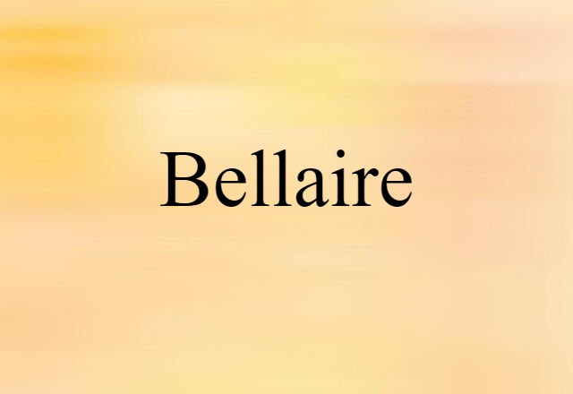 Bellaire (noun) Definition, Meaning & Examples