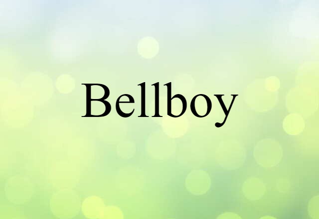 Bellboy (noun) Definition, Meaning & Examples