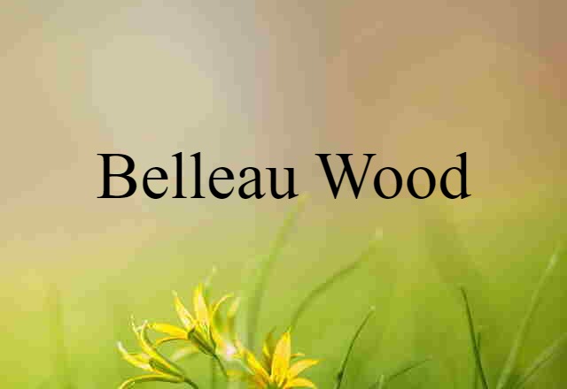 Belleau Wood (noun) Definition, Meaning & Examples