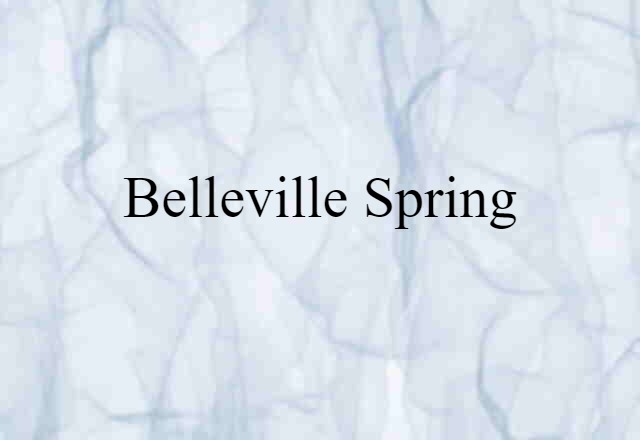 Belleville Spring (noun) Definition, Meaning & Examples