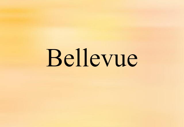 Bellevue (noun) Definition, Meaning & Examples