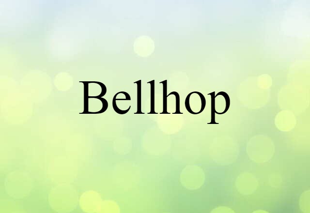 Bellhop (noun) Definition, Meaning & Examples